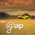 THE GAP